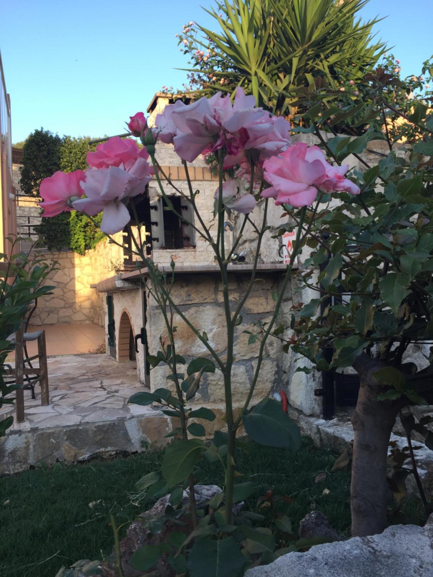 Meliades Villas Agia Marina エクステリア 写真