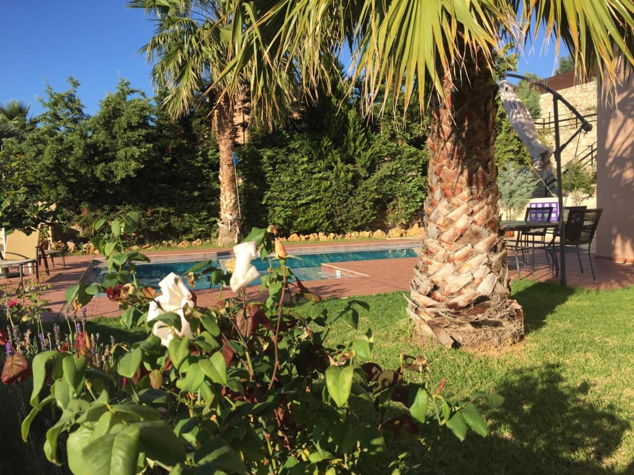 Meliades Villas Agia Marina エクステリア 写真